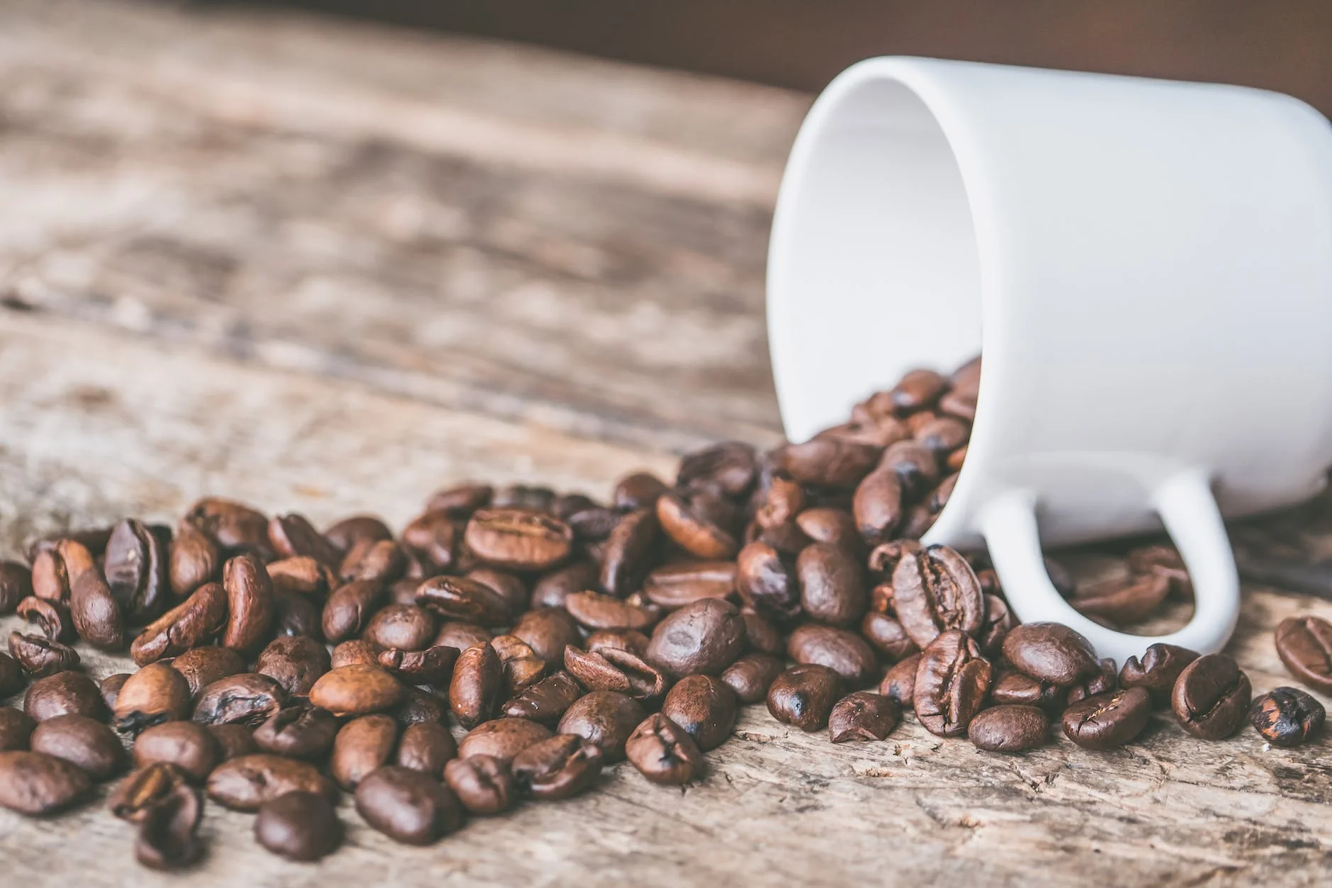 Alles wat je moet weten over verschillende soorten koffie